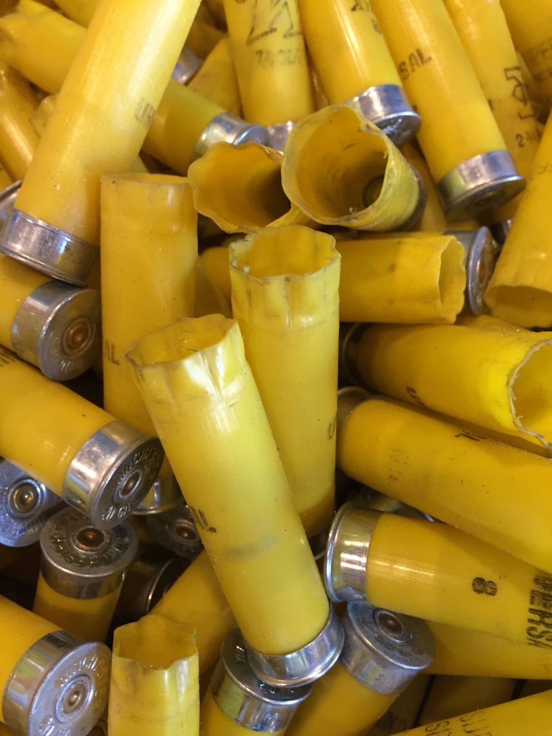 Close-up pile of yellow 20 gauge empty shotgun shells showing open crimped ends and silver bases