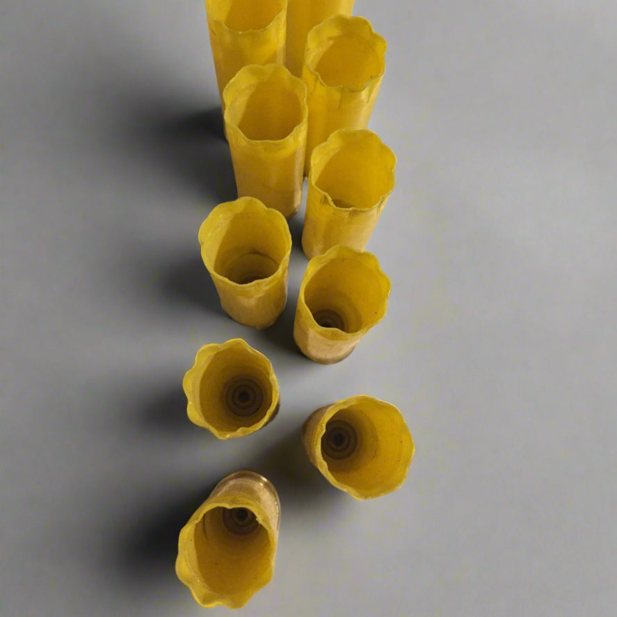 Eight yellow 20 gauge shotgun shell hulls viewed from above, showing open star-folded mouths