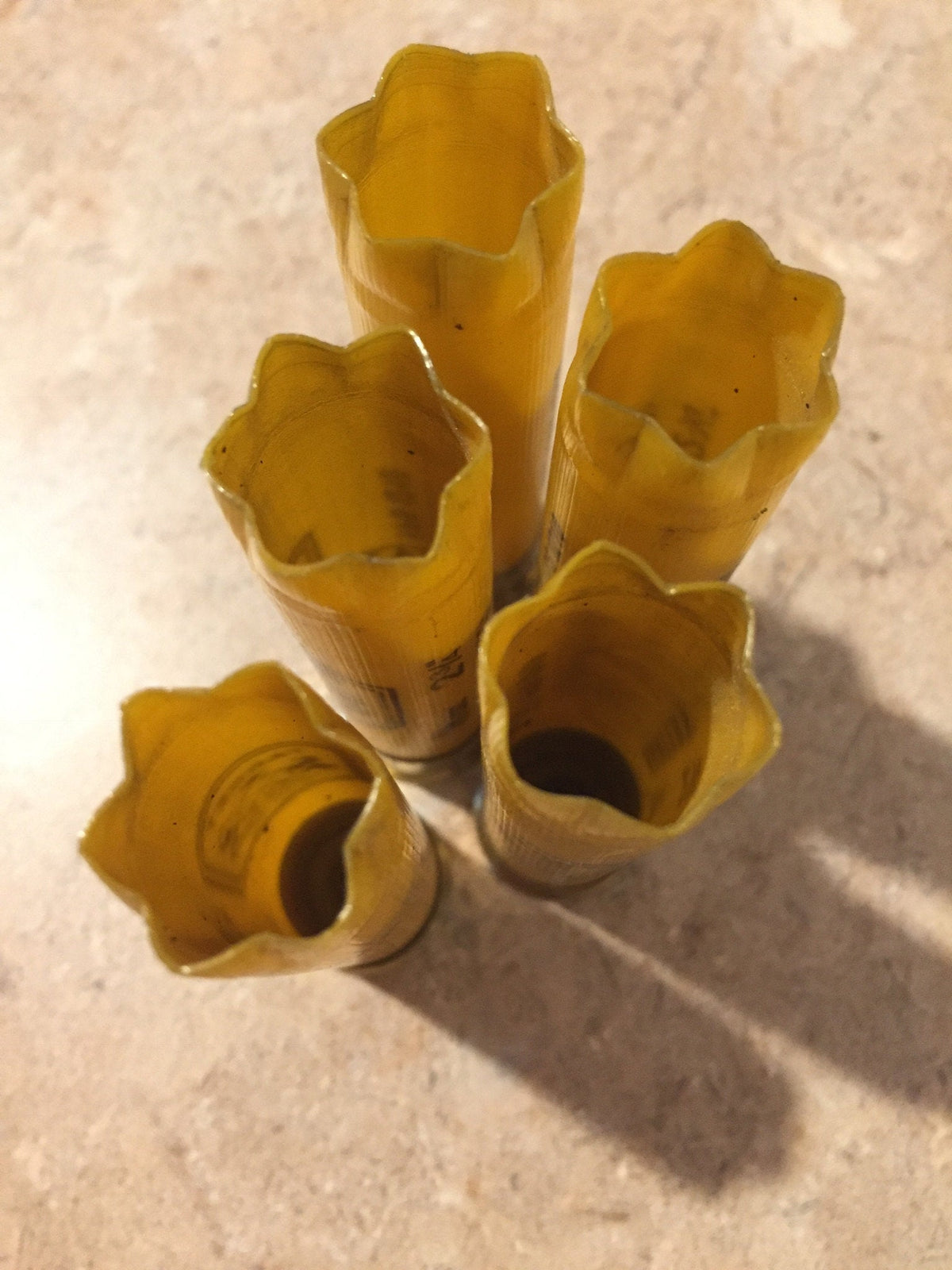 5 gold brass heads of yellow 20 gauge shotgun shells viewed from above showing 20 gauge markings