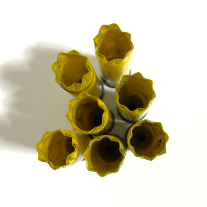 7 open yellow shotshell mouths with star-crimp folds, viewed from above