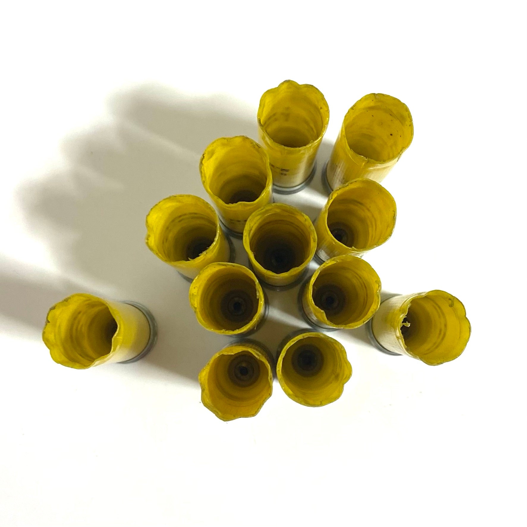 Top-down view of empty Herter's 20 gauge yellow shotgun shell hulls with open mouths