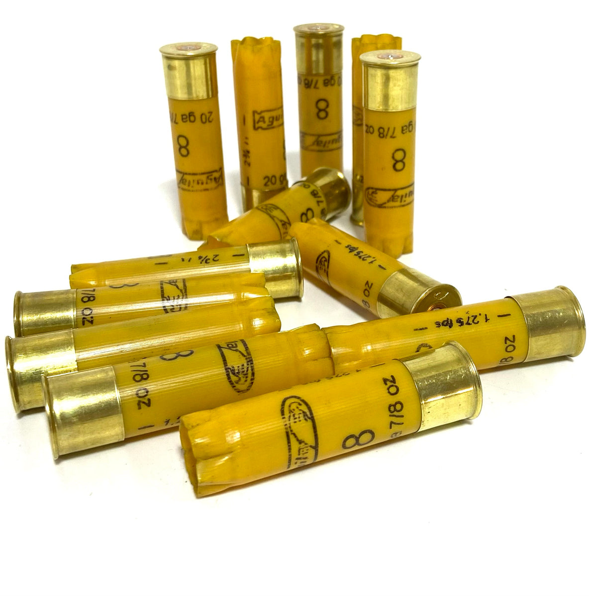 20 Gauge High Brass Hulls