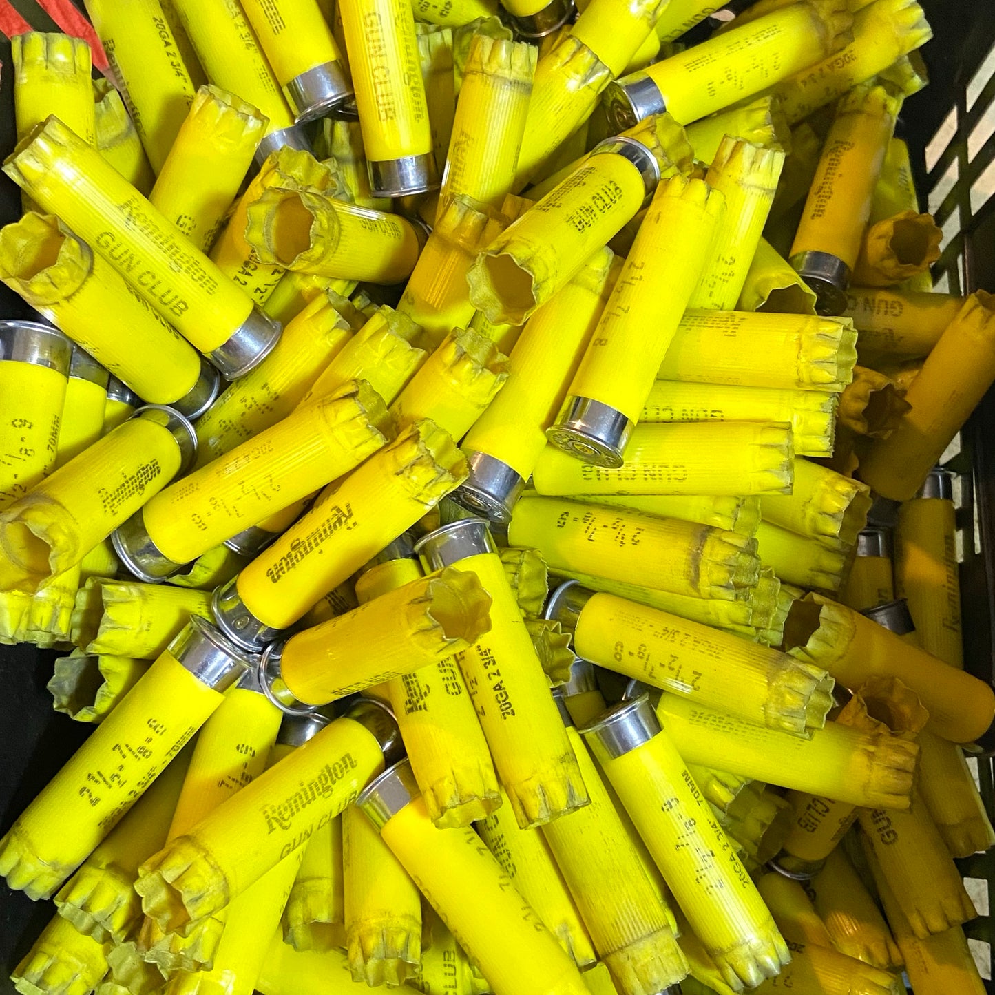 Large bulk pile of yellow spent Remington Gun Club hulls with printed markings visible